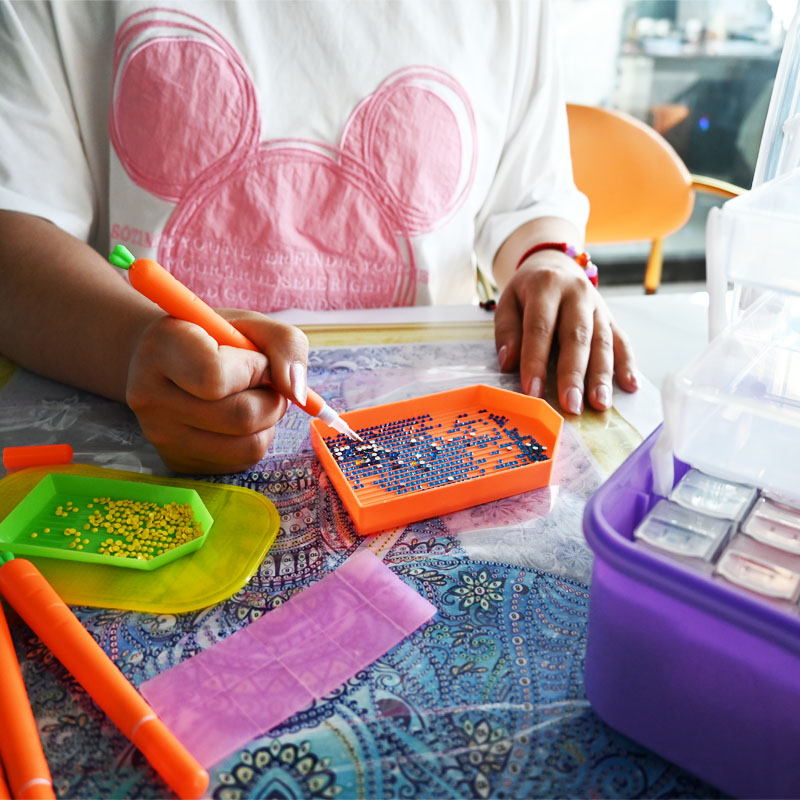 Diamond Embroidery Tools Carro - Embroidery Embellishments 评论和价格