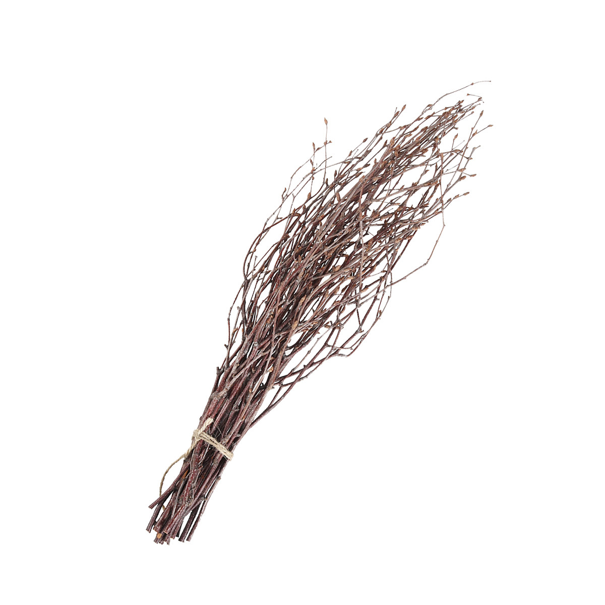 10Pcs 40Cm Birch Branches Real - Craft Embellishment 评论和价格