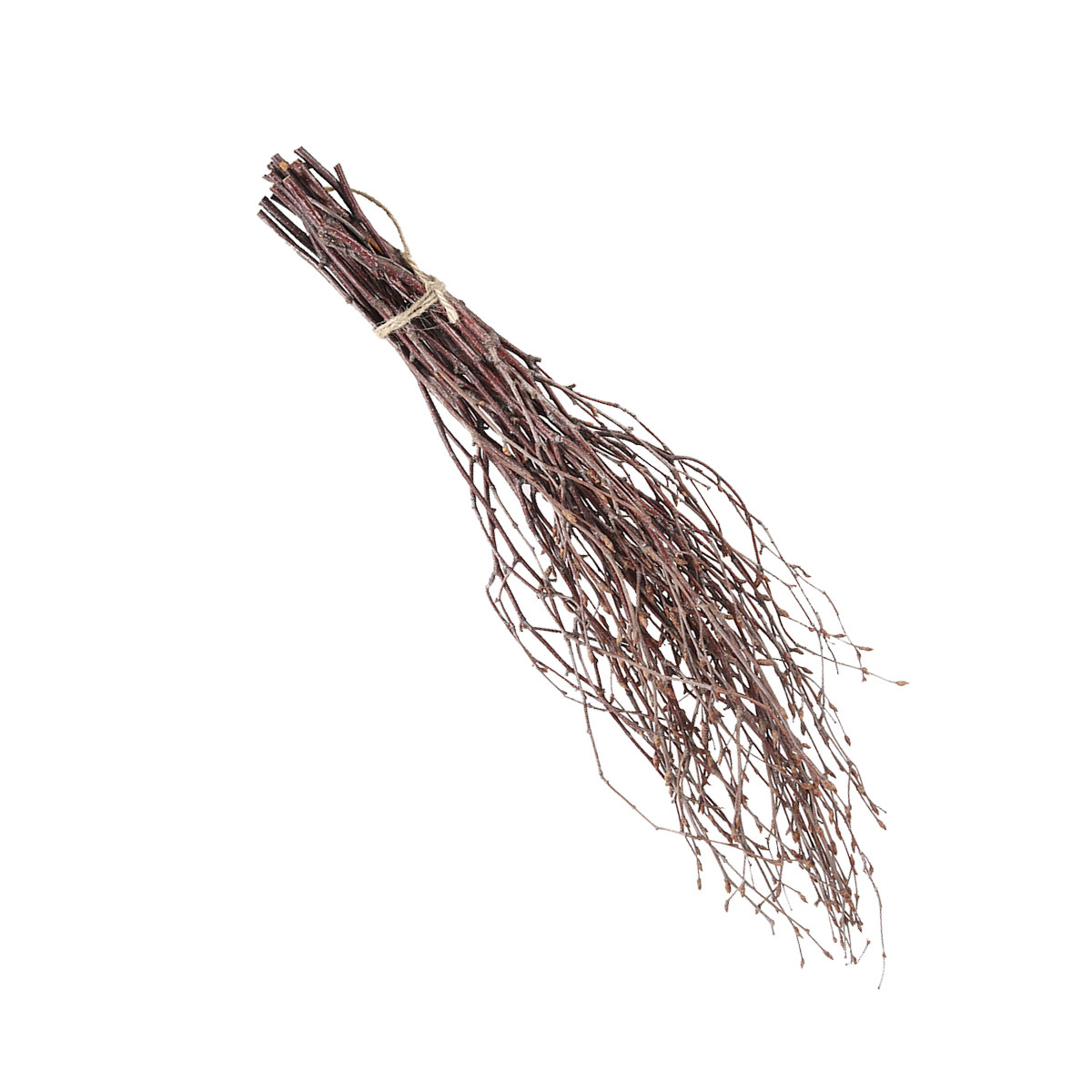 10Pcs 40Cm Birch Branches Real - Craft Embellishment 评论和价格
