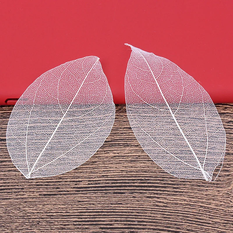 5-6cm/24pcs,Nature Real Touch  - Craft Embellishment 评论和价格