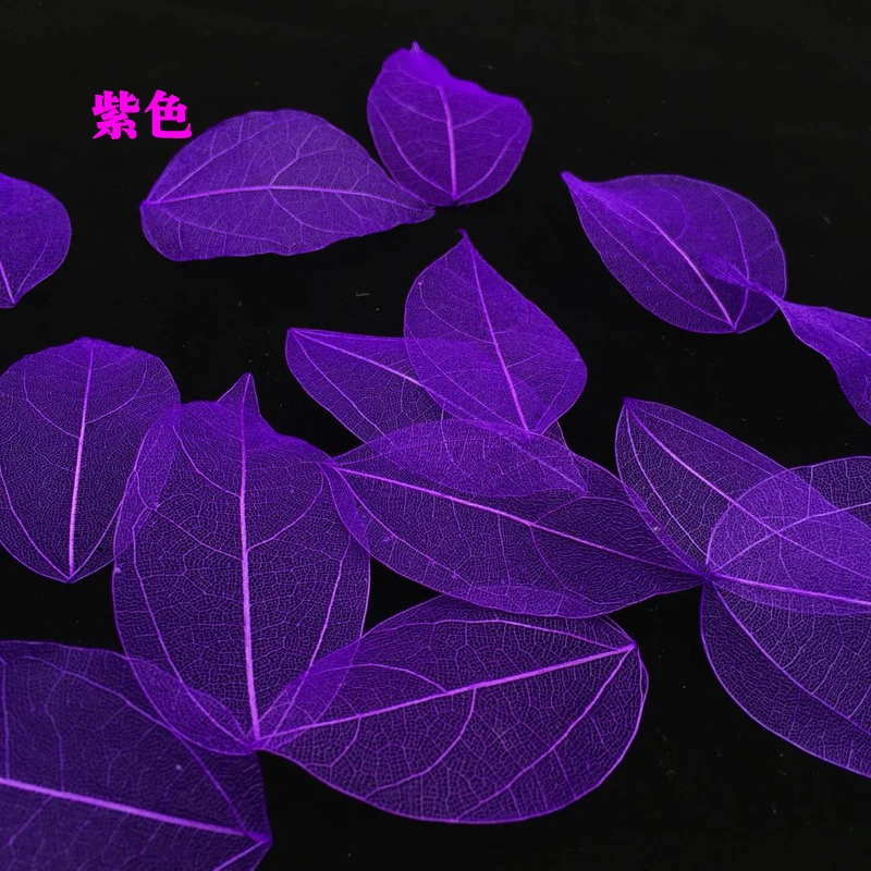 5-6cm/24pcs,Nature Real Touch  - Craft Embellishment 评论和价格